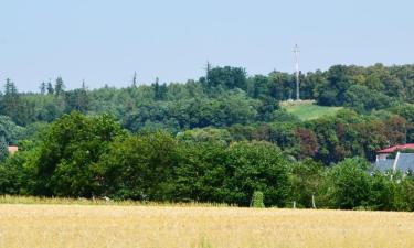 Hotelek Tršicében