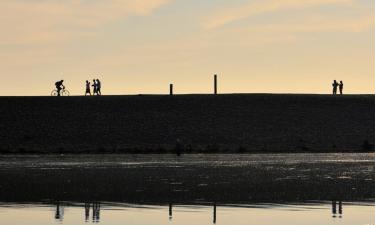 Ferieparker i Milford on Sea