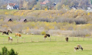 Hoteller med parkeringsplass i Oberfeulen