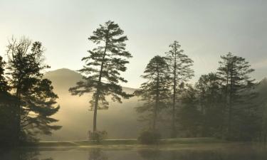 Cottages in Cashiers