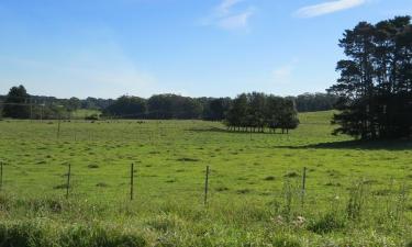 Παραθεριστικές κατοικίες σε Wildes Meadow