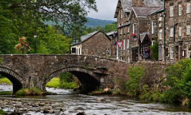 Mga Pet-Friendly Hotel sa Beddgelert