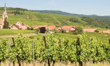 Hotels mit Parkplatz in Blienschwiller