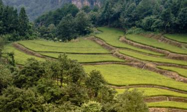 โรงแรมในZhangjiajie