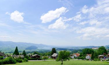 Parkimisega hotellid sihtkohas Gommiswald