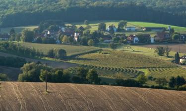 Hotels amb aparcament a Dauchingen