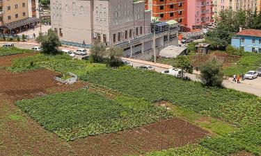 Hotel con parcheggio a Söğütlü