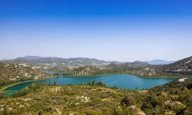 Rentas vacacionales en Baćina