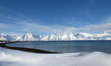 Hotell med parkering i Rotsund