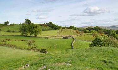 Cottages in Capel Garmon