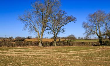 Ferieboliger i Ringmer