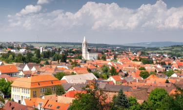 Parkolóval rendelkező hotelek Márcfalván