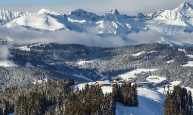 Apartments in Megève