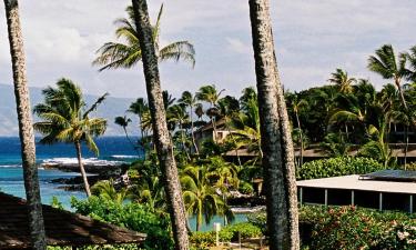 Hotels with Parking in Wailea