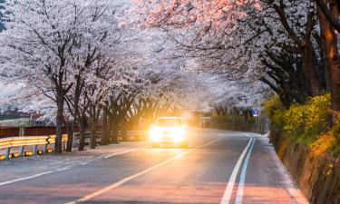 Guryeの駐車場付きホテル