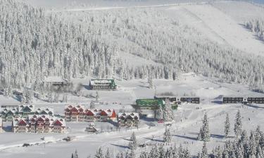 Ski Resorts in Horni Misecky