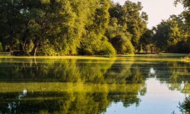 Lodges en Tom Burke