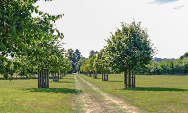 Holiday Homes in Higham