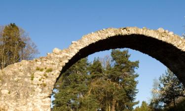 Hoteles que admiten mascotas en Carrbridge