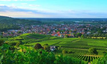 Hoteles económicos en Sasbach am Kaiserstuhl