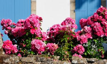 B&B/Chambres d'hôtes à Miniac-Morvan