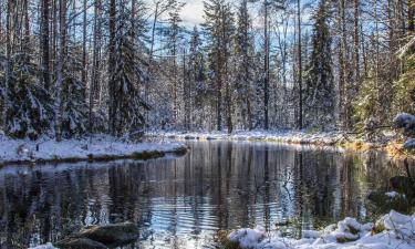 Villas em Heinävesi