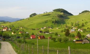 Hoteles familiares en Şirnea