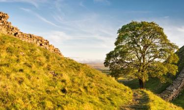 B&Bs in Haltwhistle