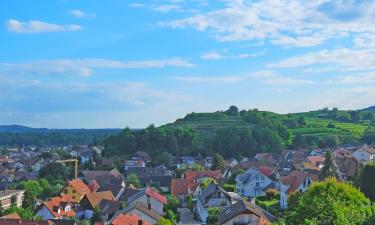 Apartamentos en Bötzingen