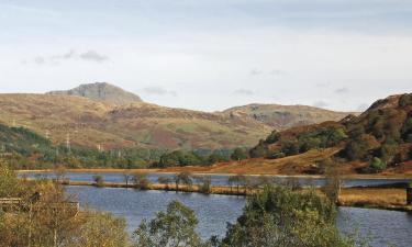 Holiday Homes in Ardlui