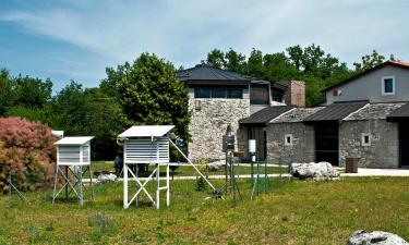 Apartments in Borgo Grotta Gigante