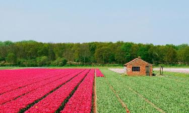 ที่พักให้เช่าในVogelenzang