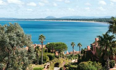 Logements avec cuisine à Punta Ballena