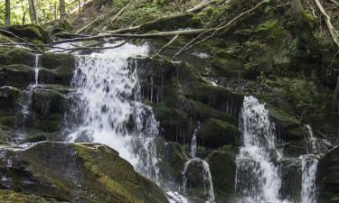 Goedkope vakanties in Wilkesboro