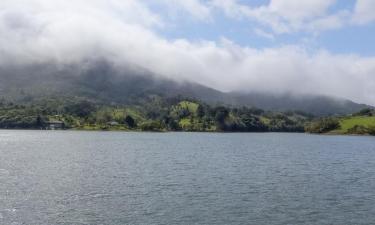 Hoteli pogodni za kućne ljubimce u gradu Kampina Grande do Sul