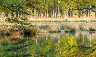 Hotels with Parking in Hoogerheide