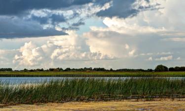 Alquileres vacacionales en Banagher