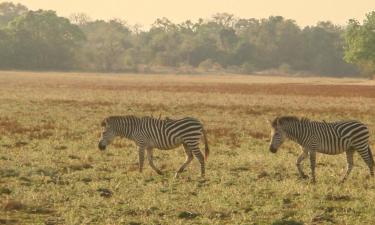 Vacaciones baratas en Kitwe