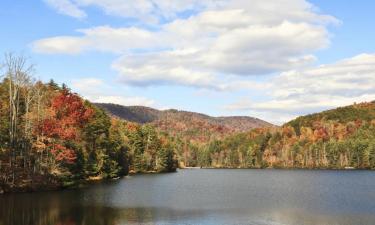 Hoteles que aceptan mascotas en Ellijay