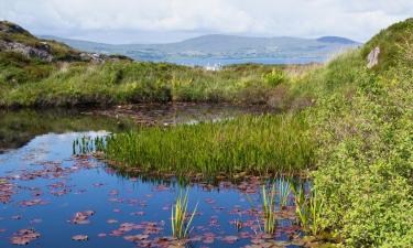 Hotels mit Parkplatz in Durrus