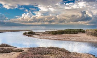 Hytter i Stiffkey