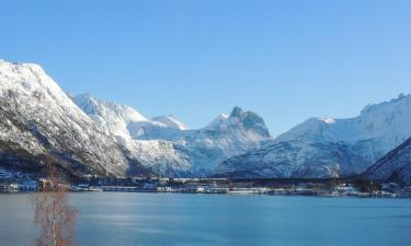 Isfjorden的度假住所