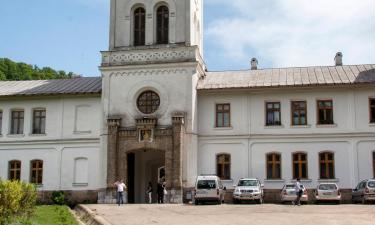 Obiekty na wynajem sezonowy w mieście Tismana