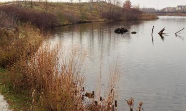 Vacaciones baratas en Crystal Lake