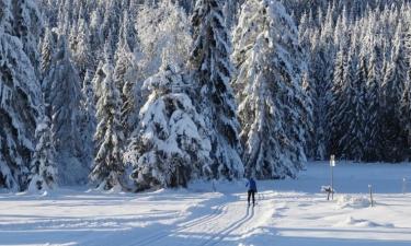 Ferienwohnungen in Sankt Georgen im Schwarzwald