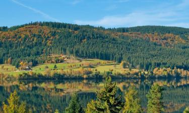 Apartmanok Bonndorf im Schwarzwaldban