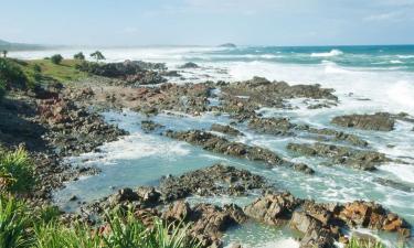 Beach rentals in Hastings Point