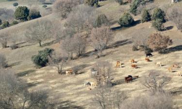 Povoljni hoteli u gradu San Agustín de Guadalix