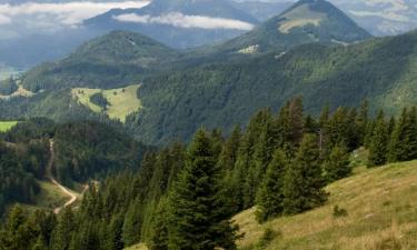 Poceni počitnice v mestu Miesbach