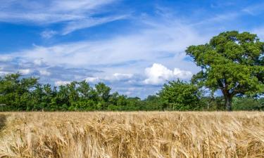 Bed & breakfast a Hurstpierpoint